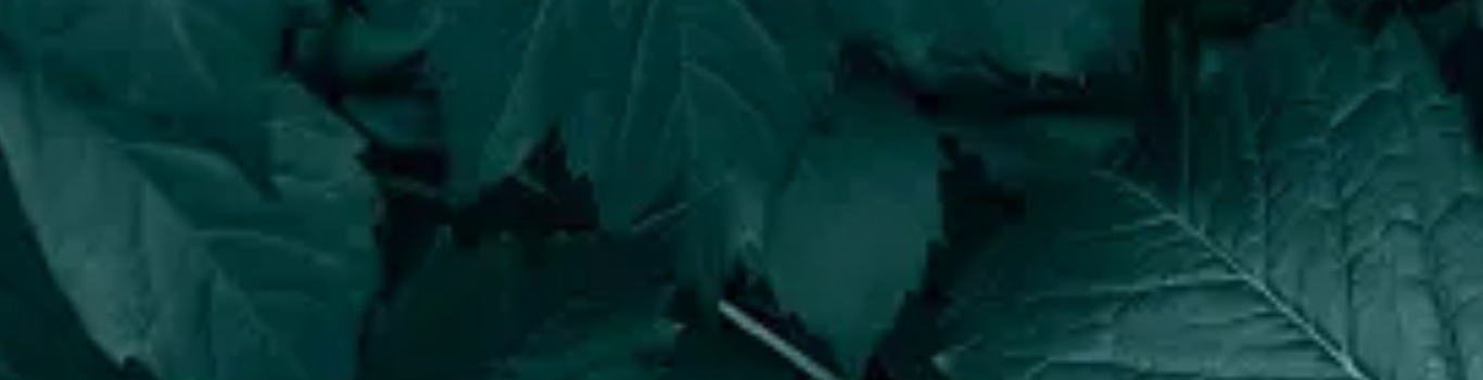 Banner Career